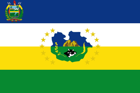 Bandera Guárico